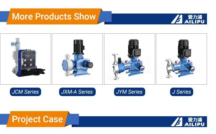 Convenient Adjustment ISO9001 Approval Chemical Feed Pump