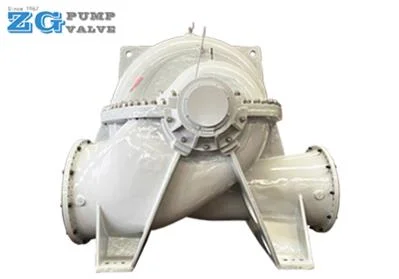 Horizontal Big Flow High Temperature Chemical Duplex Stainless Steel Titanium Monel Forced Circulation Propeller Elbow Axial Flow Pump for Evaporators/Mvr/Zld