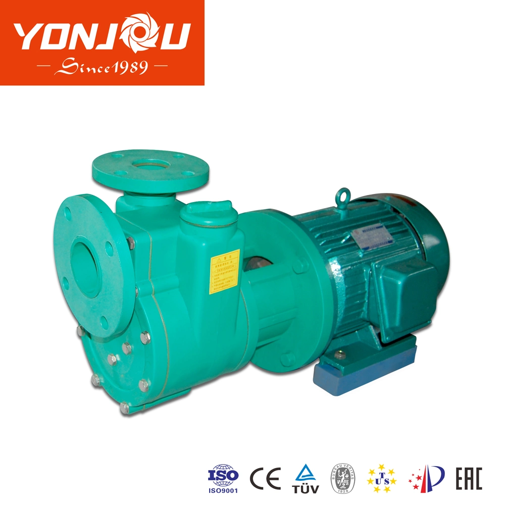 Fpz Self-Priming Pump Anti-Corrosion Centrifugal Chemical Pump