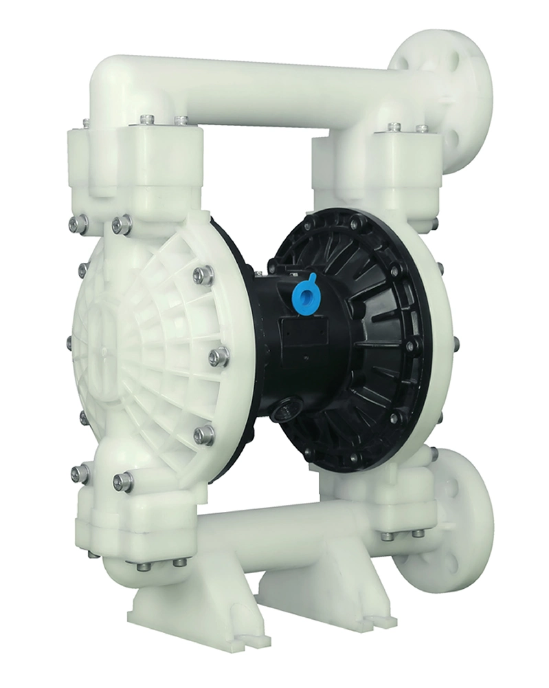 Rd 40 PVDF Pneumatic Diaphragm Pump