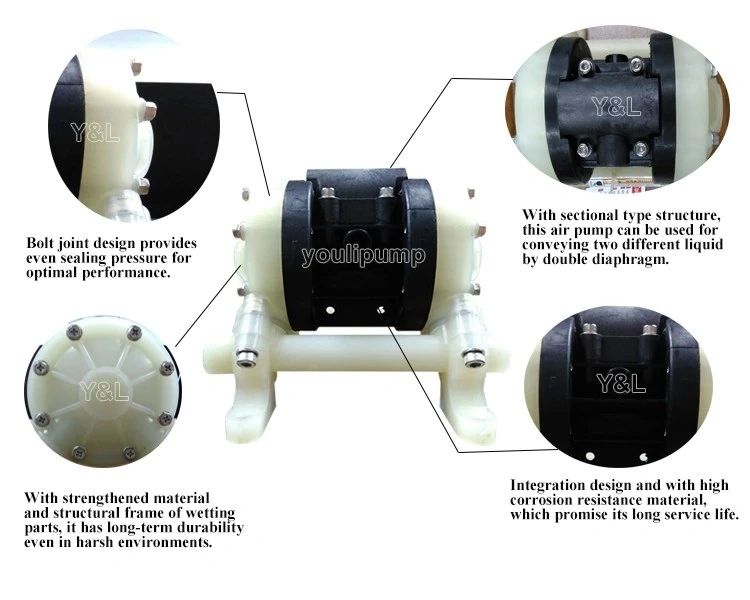 Sulfuric Acid Transfer China Plastic Aodd Pump with High Performance