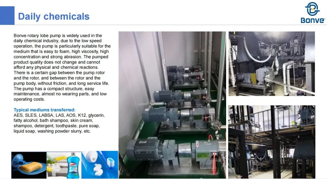 Sanitary Food and Chemical Grade Stainless Steel Liquid Transfer Rotary Lobe Pumps