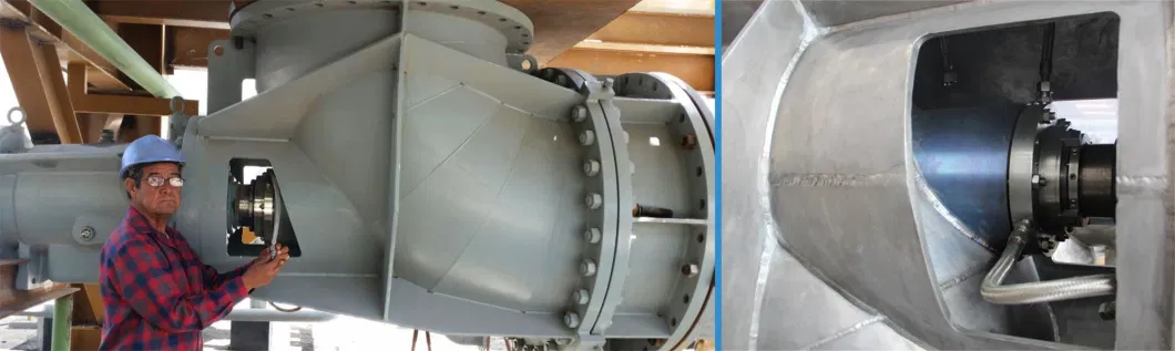 Loop Reactor Axial Flow Pump for Polypropylene Industry