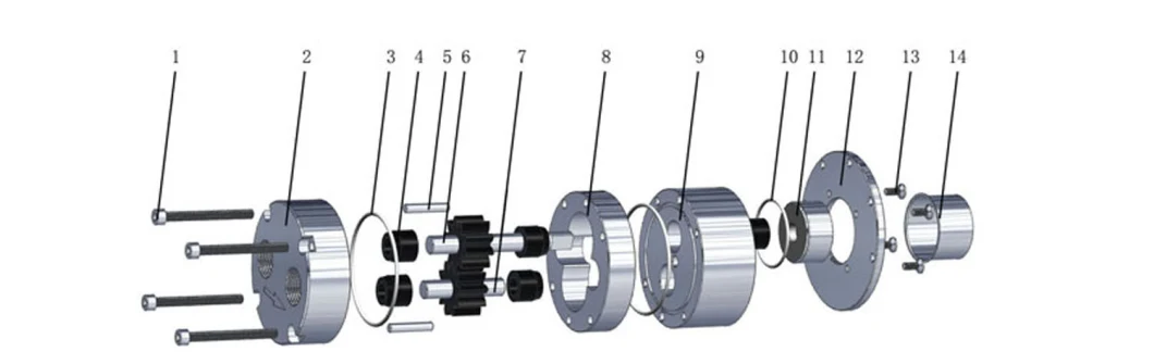 Chemical Nitric Acid Magnet Drive Gear Pump Acid Resistant Pump