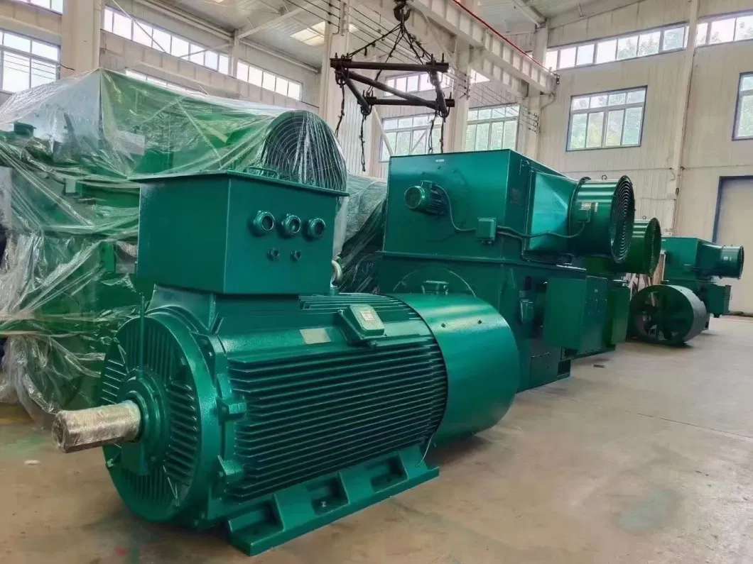 Chemical Pump High -Voltage Explosion -Proof Motor/Paper Factory High -Voltage Motor