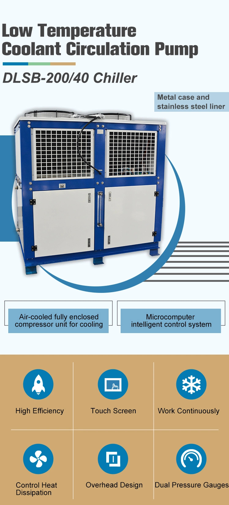 Dlsb Lab Glycol Air Cooled Circulating Cryogenic Chiller Industrial Circulation Pump for Cooling Machine Price