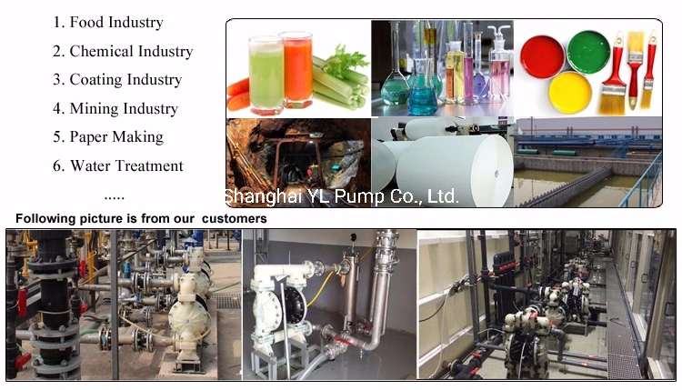 Qbk25 PVDF Air Diaphragm Pump for 98% Sulfuric Acid