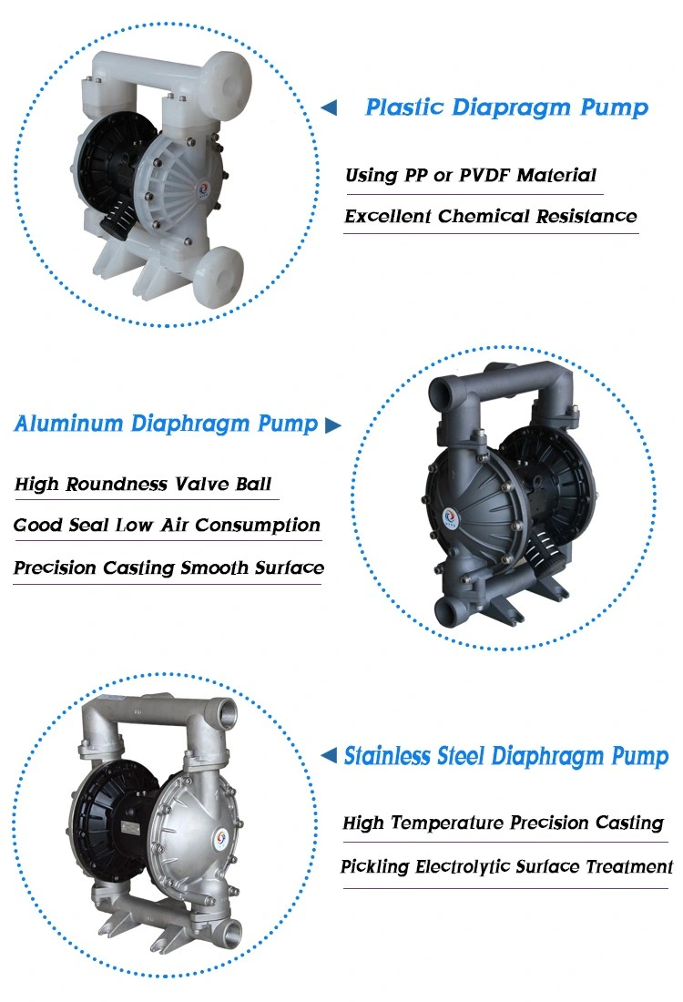 Plastic Air Operated Transfer Flange Connect Diaphragm Pump