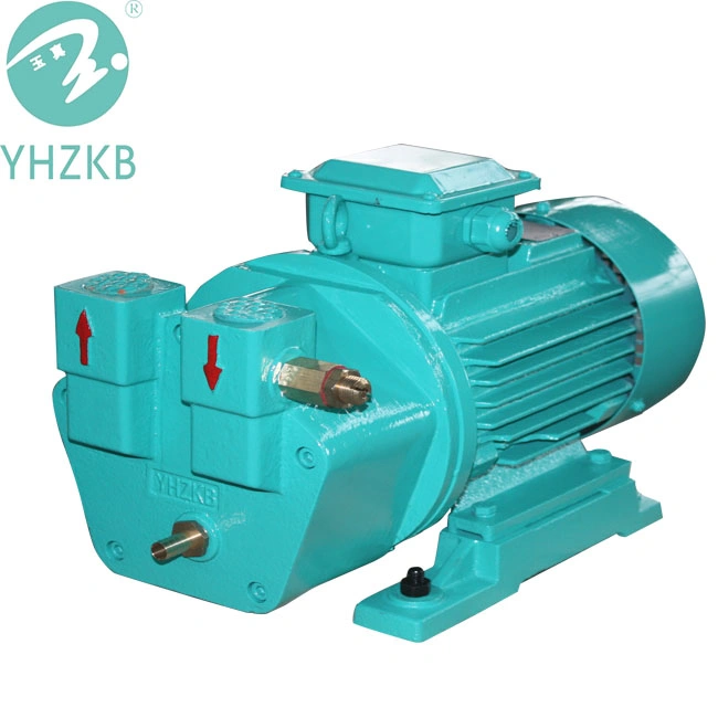 Lab Chemical Liquid Ring Circulation Water Vacuum Pump on Sale