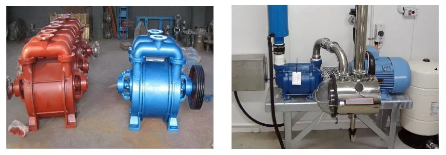 Paper Making Industry Water Liquid Ring Vacuum Centrifugal Pulp Screw Diaphragm Low Pulse Fan Pipe Pump