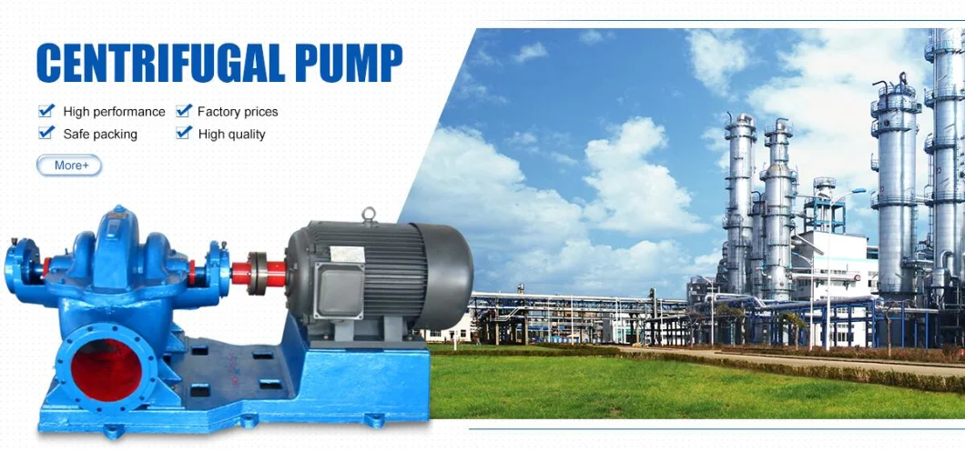 Oil-Free High-Capacity Double-Suction Pump for Water Recycling in Wastewater Treatment Plants