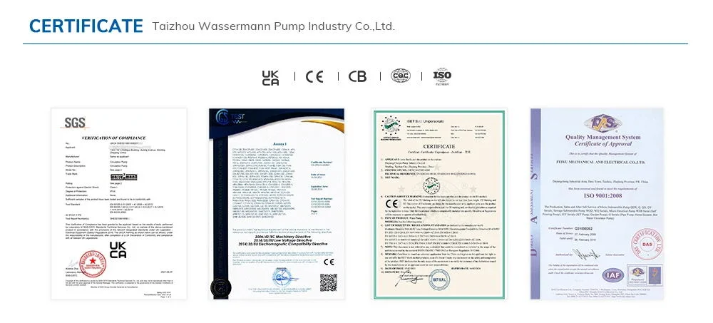 Wassermann Cast Iron Submersible Resin Sewage Water Pump Stainless Steel Vortex Wastewater Pump with Grinder Cutter