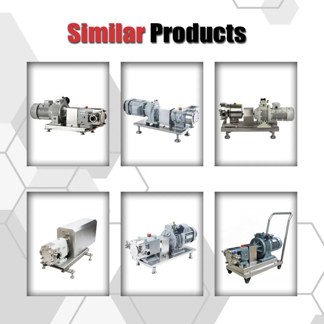 Stainless Steel Sanitary Horizontal Rotor Rotary Lobe Pump