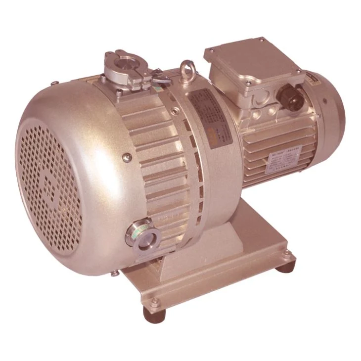 High Quality China Brand Manufacturer Industrial Mini Refrigeration Liquid Ring Vacuum Pump