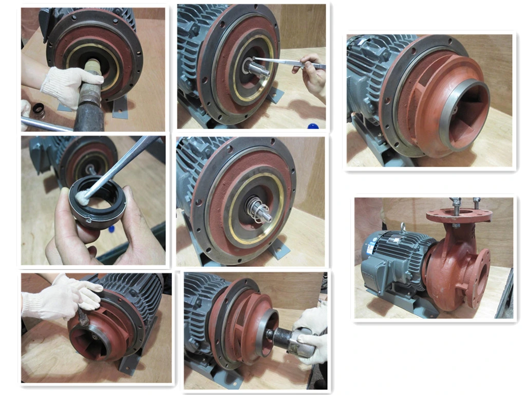 for Industrial Cooling and Circulation System Horizontal Centrifugal Pump Sewage Pump