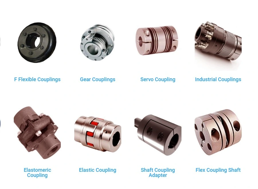 Industrial Mini Refrigeration Liquid Ring Vacuum Pump High Quality China Brand Manufacturer