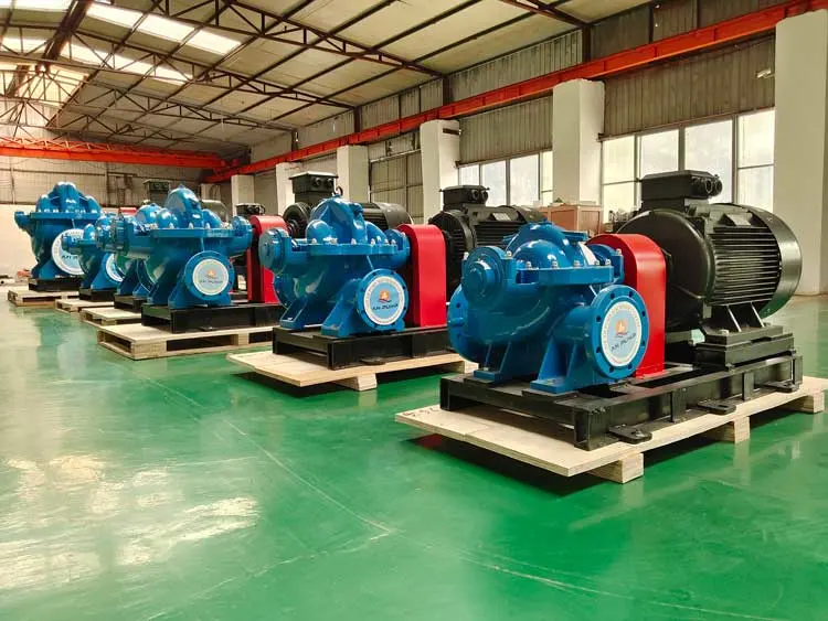 Industrial Salt Water Pumps