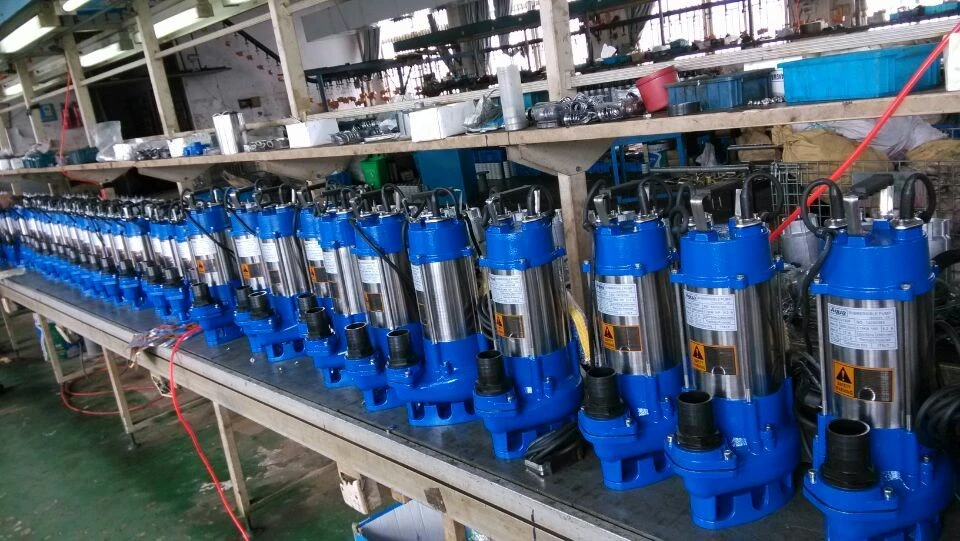 Professional Manufacturer Stainless Steel Sewage Water Pump with CE Certificate