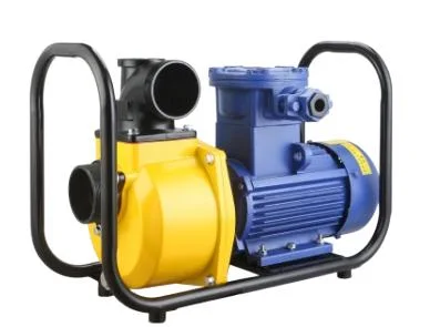 DSU(E) series Explosion-proof self-priming pump 2&prime;3&prime;