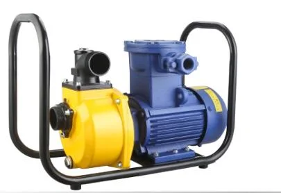 DSU(E) series Explosion-proof self-priming pump 2&prime;3&prime;