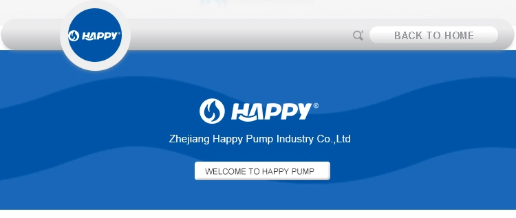 ISO Approved RoHS Happy Carton or Wooden Case Waste Water Price Centrifugal Pump