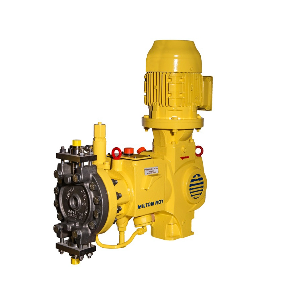 Industrial Electric High Pressure Hydraulic Diaphragm Dosing Metering Pump