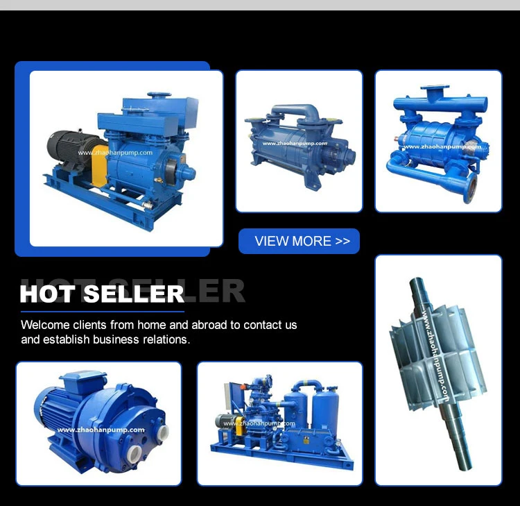 Single Stage Water Circulated Monoblock Pumps 2BV Water Liquid Ring Vacuum Pumps