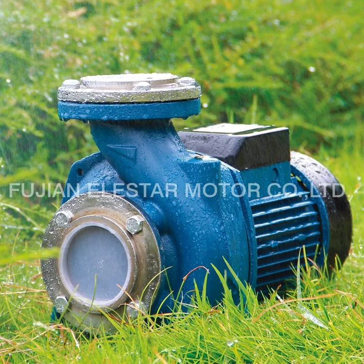 Industrial Use Urban Water Supply Nfm Series Centrifugal Pump
