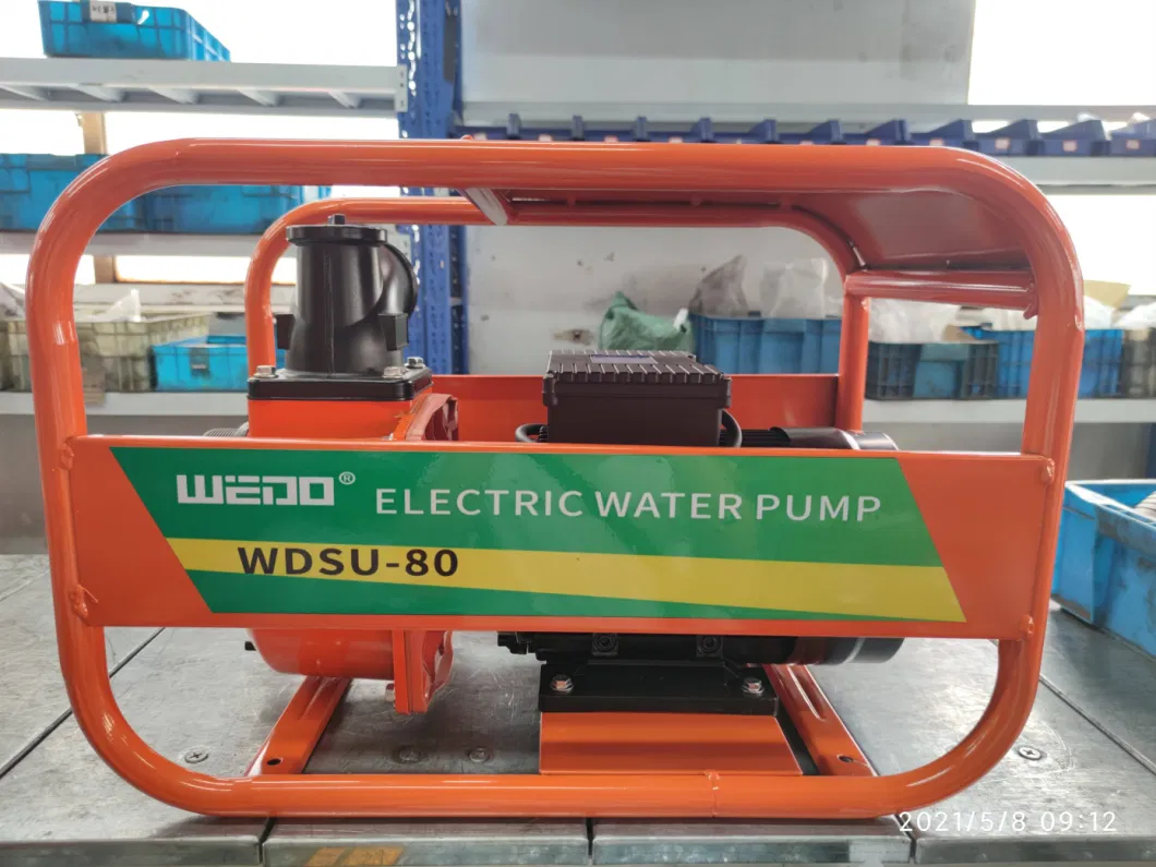 High Quality Electric Gasoline Motor Water Pump for Industrial Use