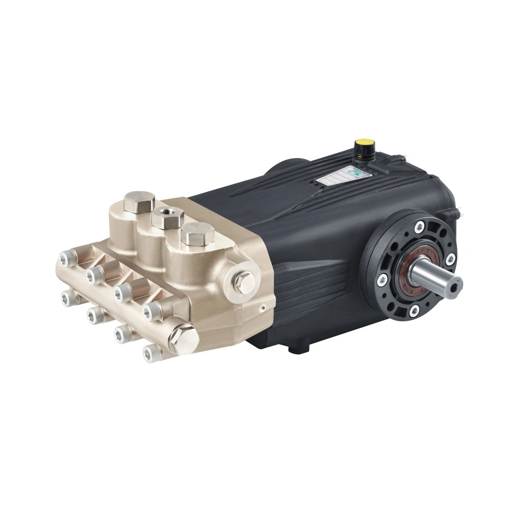 Botuo DSP-N Chemical Injection High Pressure Pumps