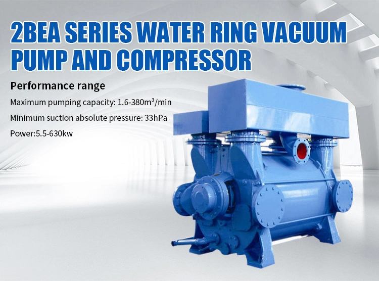 Heavy-Duty Water Ring Vacuum Pump with High Flow Rate and Excellent Durability for Industrial Use