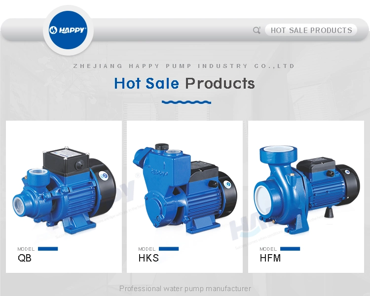 ISO Approved RoHS Happy Carton or Wooden Case Waste Water Price Centrifugal Pump