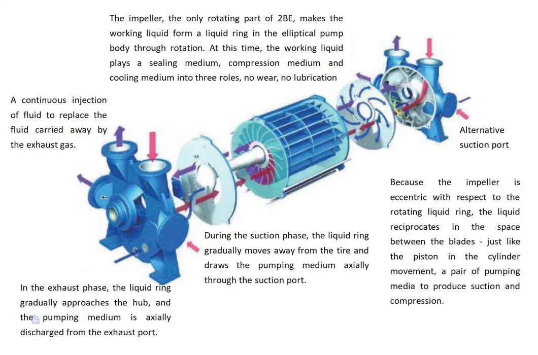 Heavy-Duty Water Ring Vacuum Pump with High Flow Rate and Excellent Durability for Industrial Use