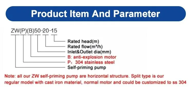 Zw Type Corrosion Resistant Cast Iron Horizontal Electric Self-Priming Sewage Water Pump