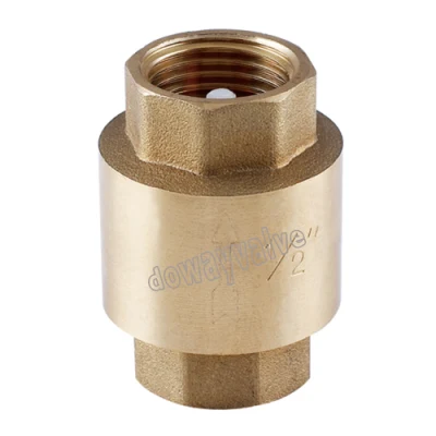 Forged Brass Non Return Spring Check Valve Inline Plasted in Polymer