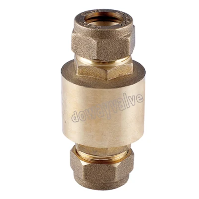 Forged Brass Non Return Spring Check Valve Inline Plasted in Polymer