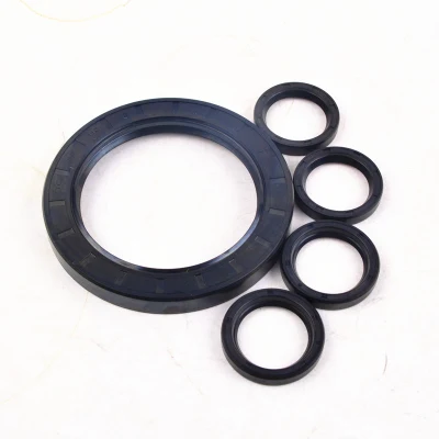 Automotive Hydraulic Skeleton Oil Seal Double Lip Rotary Shaft Oil Seal