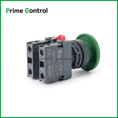22mm Cutout Diameter 2 Positions Spring Return From Right and Left Rotary Button Switch