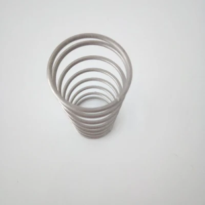 Stainless Steel External Anchor Spring
