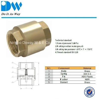 Forged Brass Non Return Spring Check Valve Inline Plasted in Polymer