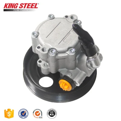 Car Parts Steering System Hydraulic Pump for Renault Duster (491105510R)