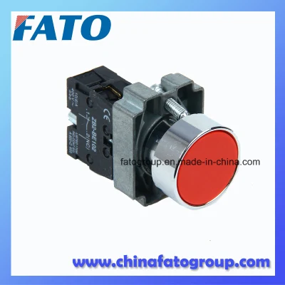 Pushbutton Switch Flush Spring Return