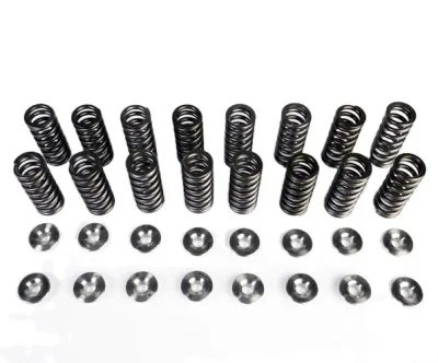 OE Factory Steel Valve Spring for Car Bus Truck Tractors Engine