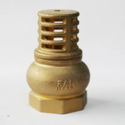 High Quality 200 Wog Check Valve Brass Foot Valve