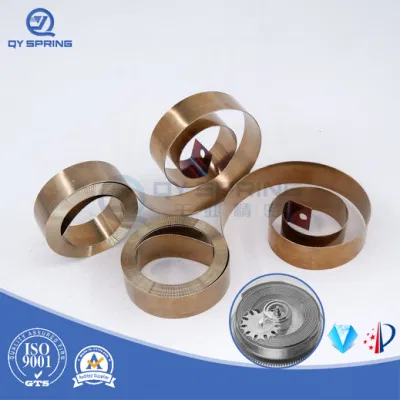 Power Spring for Spring Barrel with CE Certification