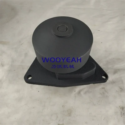 Water Pump 3966841 4110000081010 Sp100733 Sp105539 6CTA8.3-C215 Diesel Engine Parts