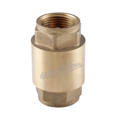 Forged Brass Non Return Spring Check Valve Inline Plasted in Polymer