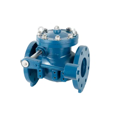 Swing Check Valves with Lever Arm and Weight