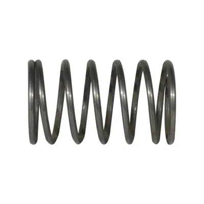 China Custom High Temperature Inconel Alloy Compression Springs