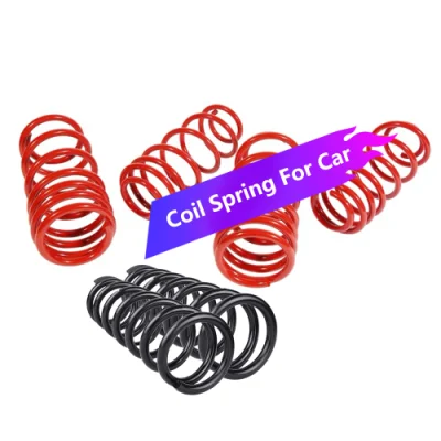 Auto Spare Parts Shock Absorber Coil Spring Tkcs99306 for Hyundai with Quality Guaranteed